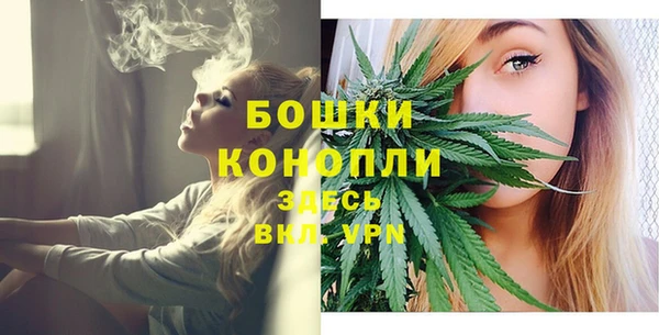 Альфа ПВП Карпинск