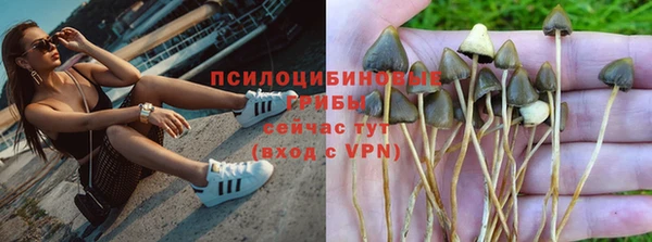 мяу мяу мука Касимов