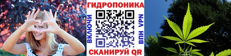 Купить где  Качканар  Бошки Шишки план 